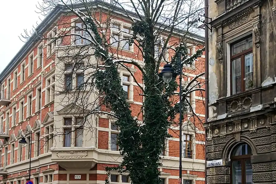 Radziwillowska Krako 003