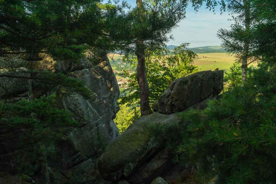 Szczytnik