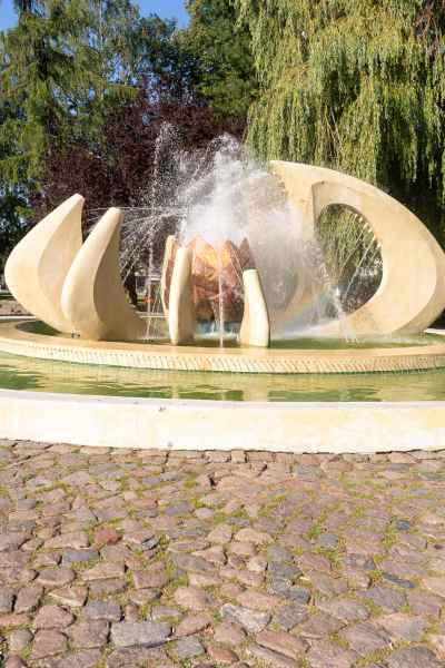 Kolobrzeg  szczeki naczelnika042