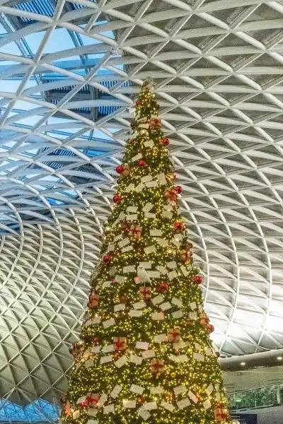 choinka na kingcross