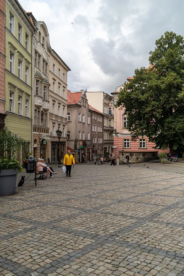 Kłodzko - rybek Kłodzko - rybek