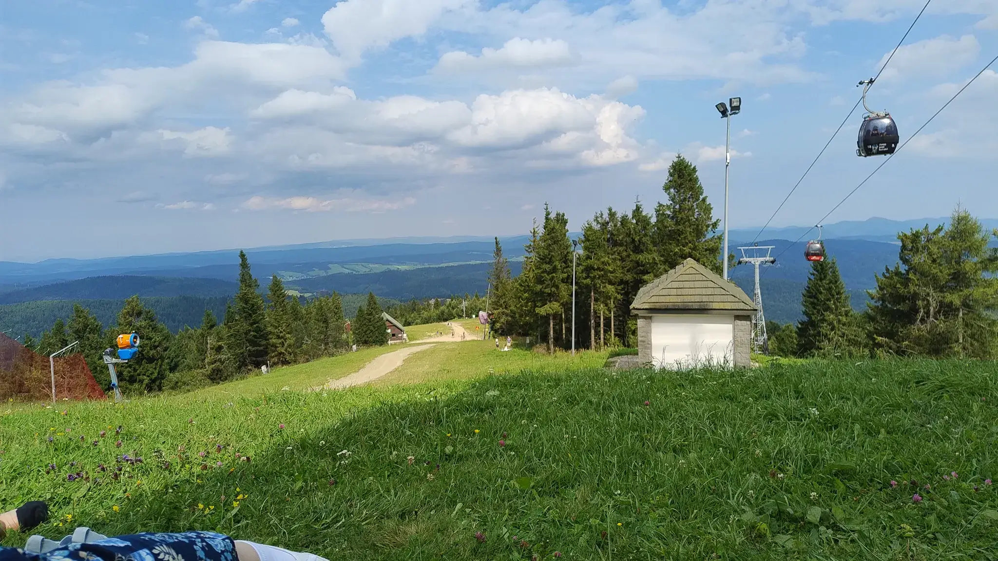 Jaworzyna krynicka 096